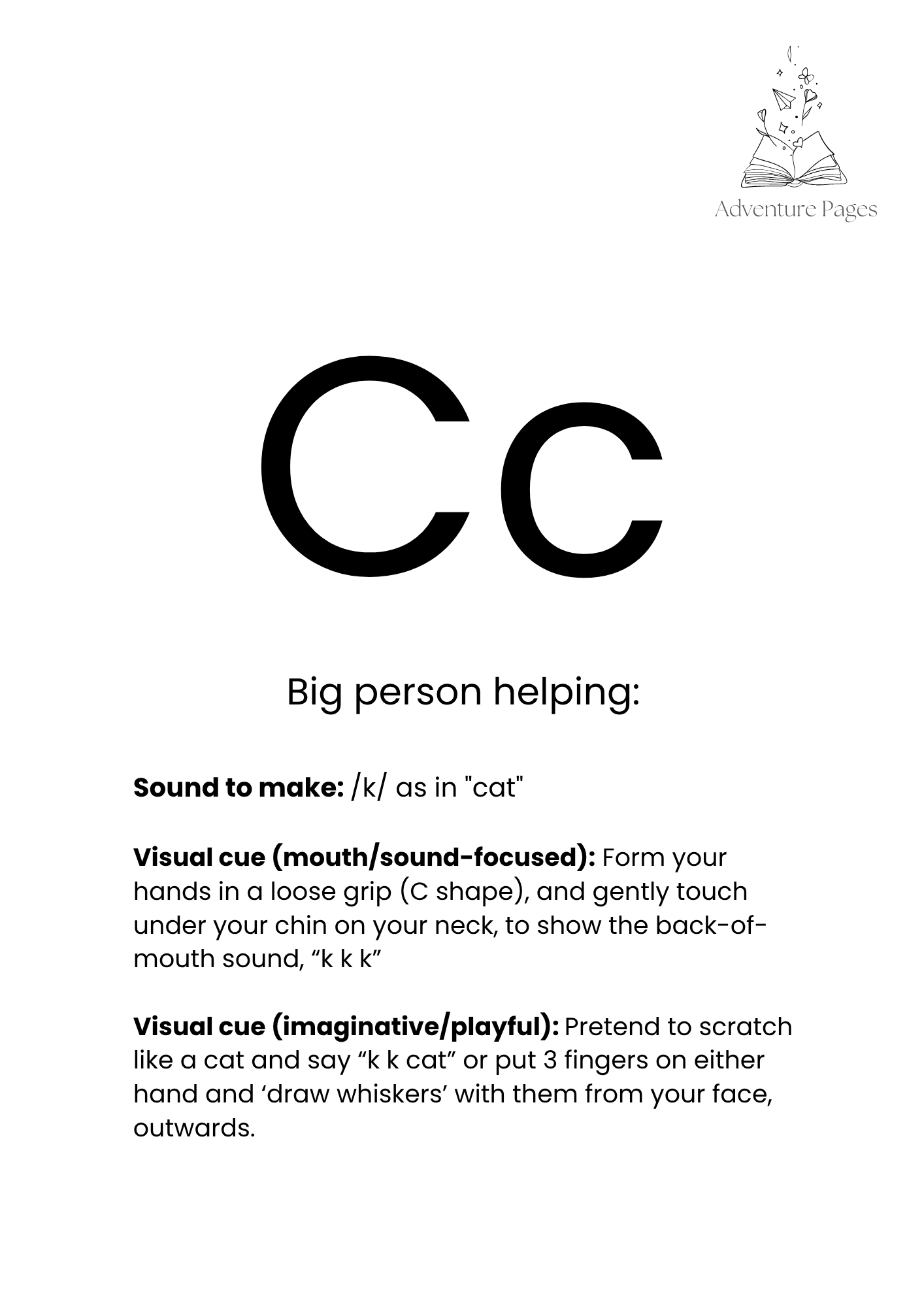 ABC Phonics Flashcards with Teaching Cues