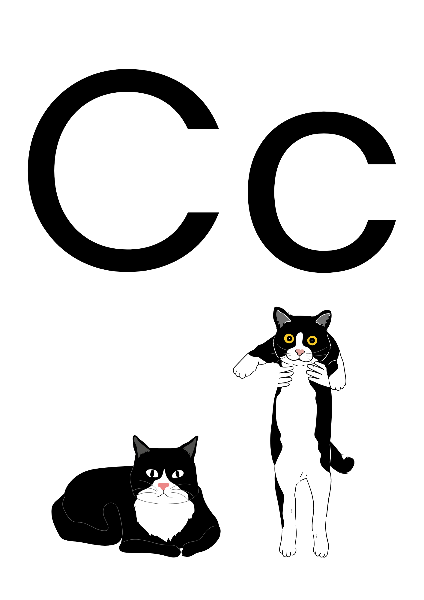 ABC Phonics Flashcards with Teaching Cues